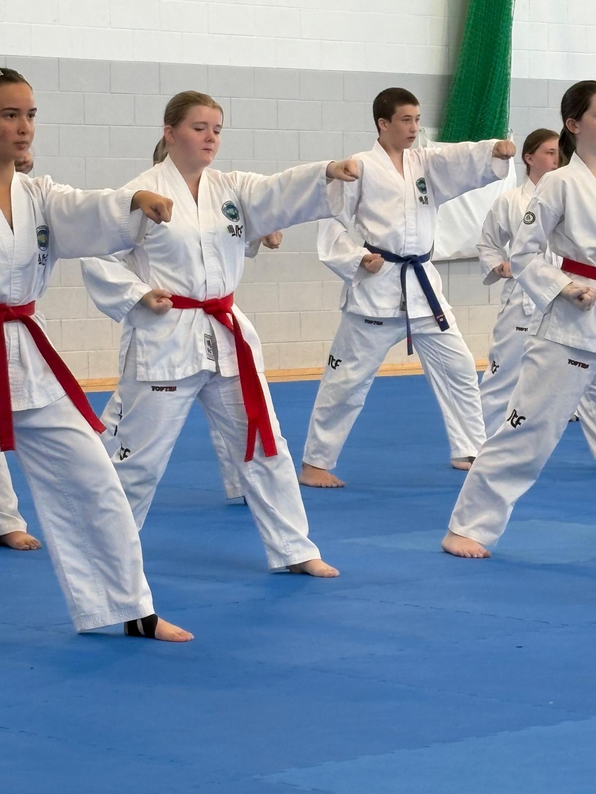 Current Members class at Sligo ITF Taekwon-Do